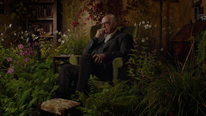 SOYAI_HERO STILL.jpg